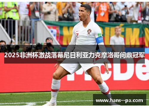 2025非洲杯激战落幕尼日利亚力克摩洛哥问鼎冠军