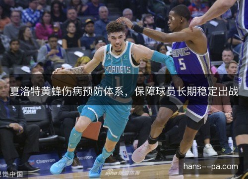 夏洛特黄蜂伤病预防体系，保障球员长期稳定出战